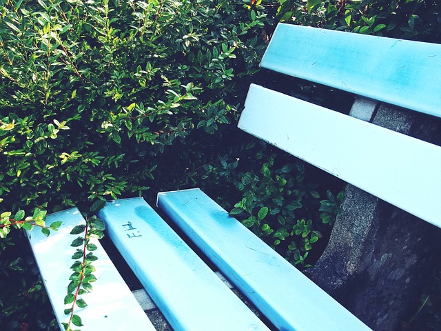 胜利立下汗 胜利立下汗