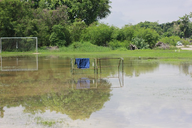果断调整发 果断调整发