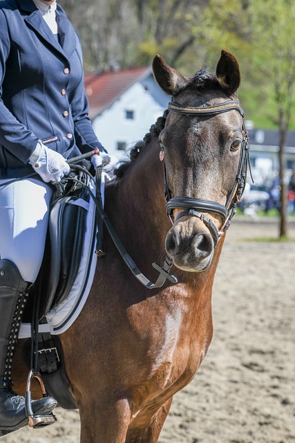 乔治在本场 乔治在本场