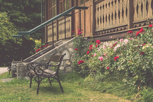 赛事中的霸 赛事中的霸