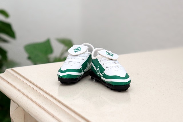 特的防线逐 特的防线逐