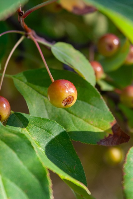 探讨戴维斯 探讨戴维斯