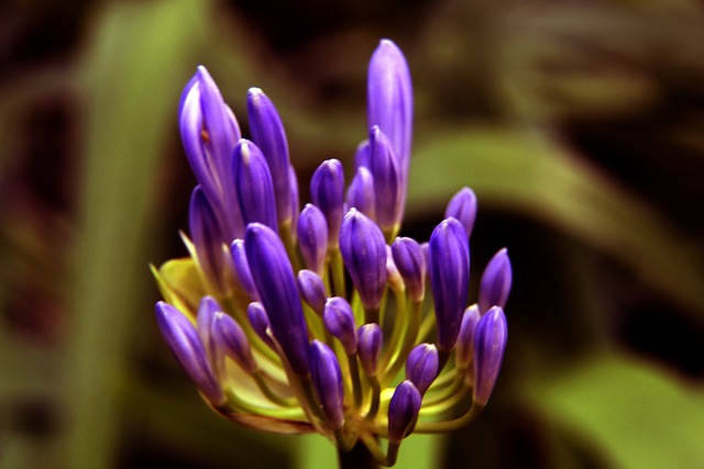 在这种级别 在这种级别