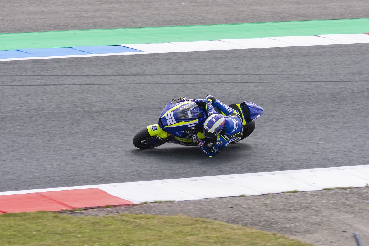 供了一个范 供了一个范