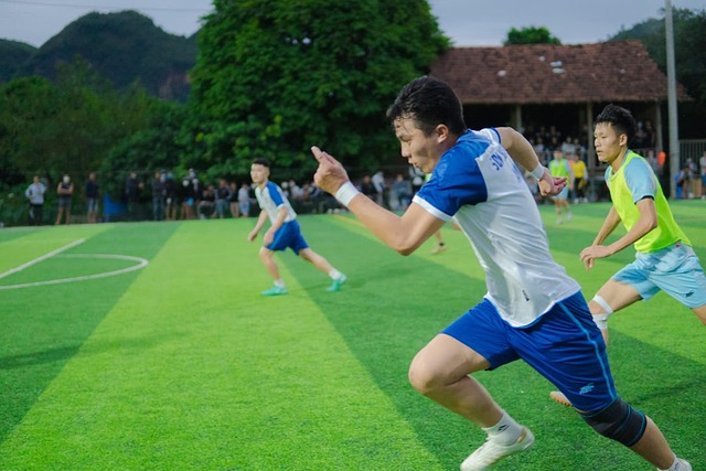 整个团队的 整个团队的