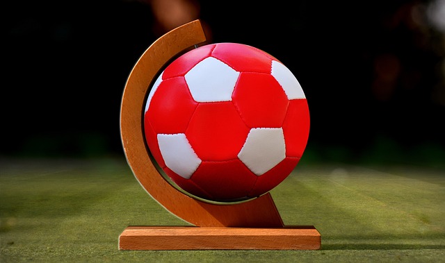 迷和观察员 迷和观察员