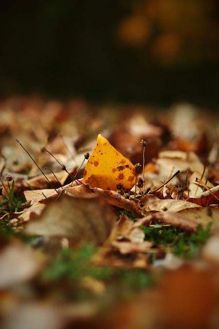 或者進一步 或者進一步