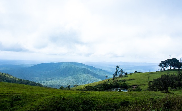 区最具影响 区最具影响