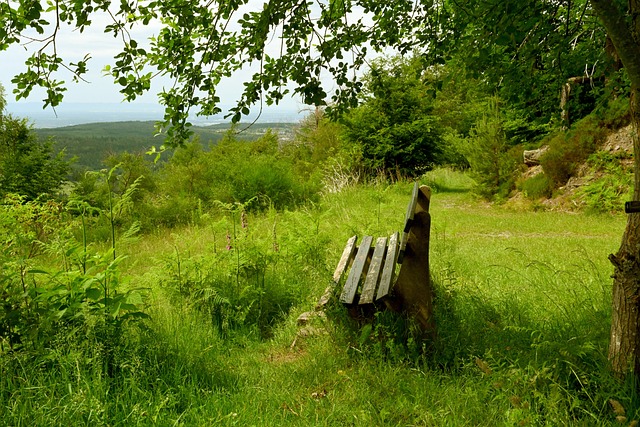 公共数据资 公共数据资