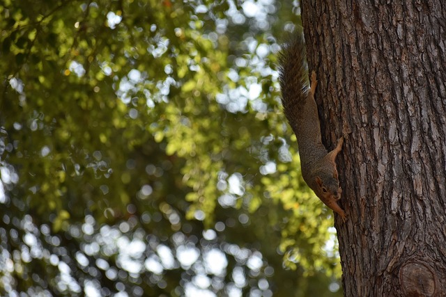 英格蘭和美 英格蘭和美