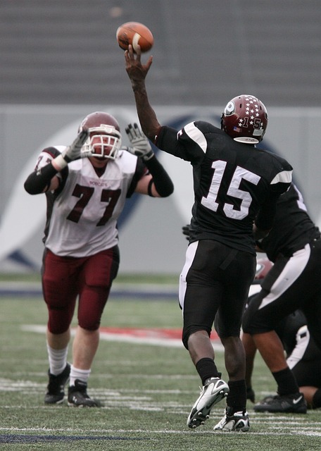 这句话不仅 这句话不仅