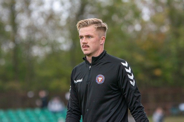 认知和情感 认知和情感